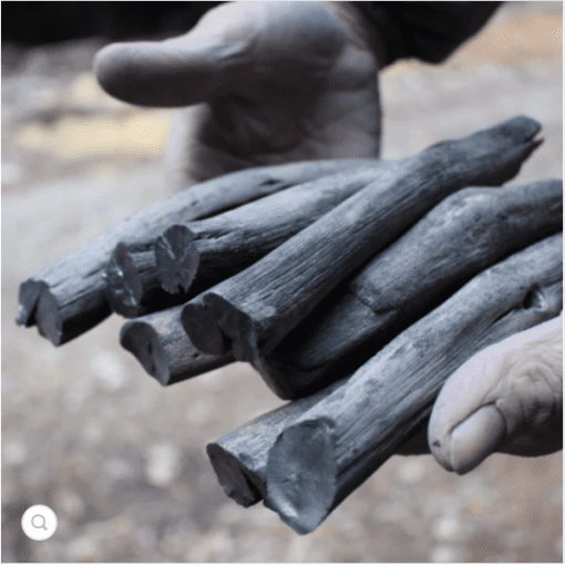 charbon binchotan en bois du Japon pour purifier l'eau potable. Accessoire écologique, efficace et zéro déchet pour boire une eau saine à la santé.